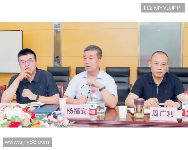 深入探讨北京排球队的运营模式与发展策略解析